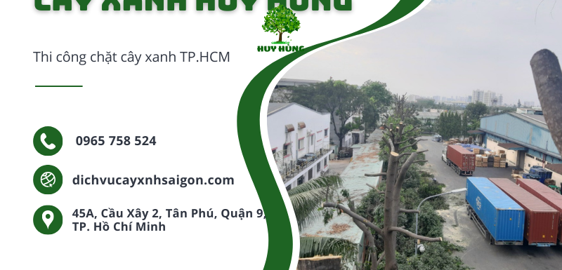 Chặt cây xanh TPHCM