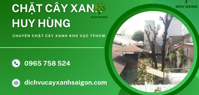 Dịch Vụ Chặt Cây Xanh Huy Hùng - Hạn Chế Rủi Ro Mùa Mưa Bão