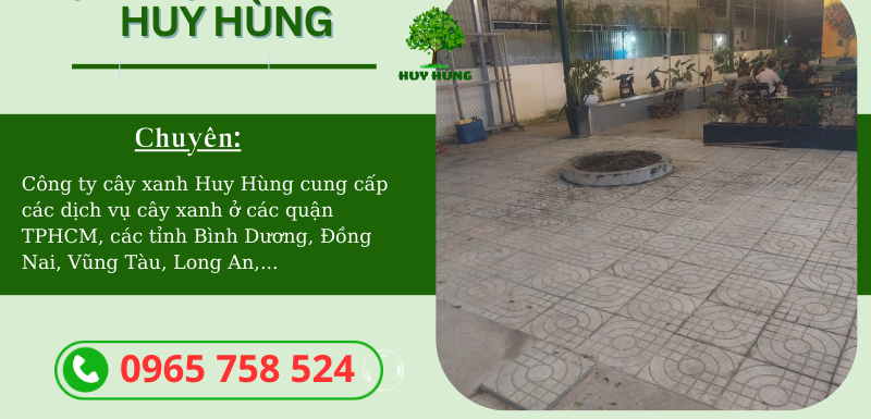 Đơn vị thi công chặt cây xanh tại TPHCM