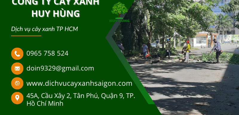 Dịch Vụ Chặt Cây Xanh Tphcm - Dịch Vụ Cây Xanh Huy Hùng