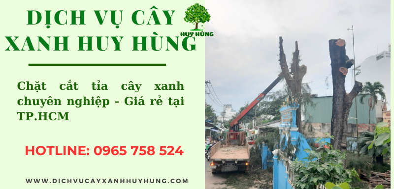 CHẶT CẮT TỈA CÂY XANH TẠI TP HCM