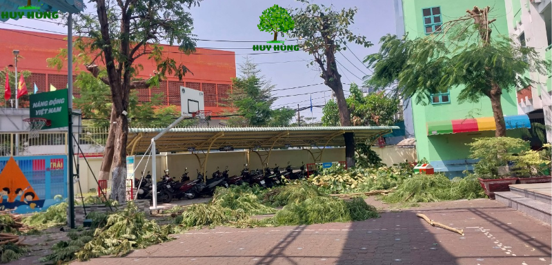 Thuê dịch vụ cắt tỉa cây xanh tại nhà