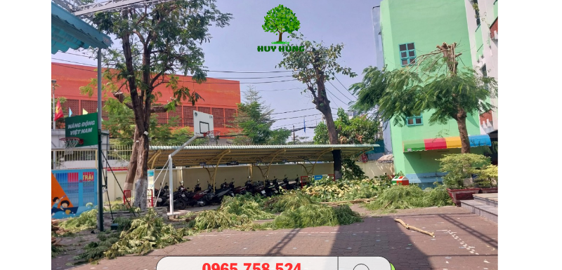 Cưa cây xanh giá rẻ tại các quận TPHCM