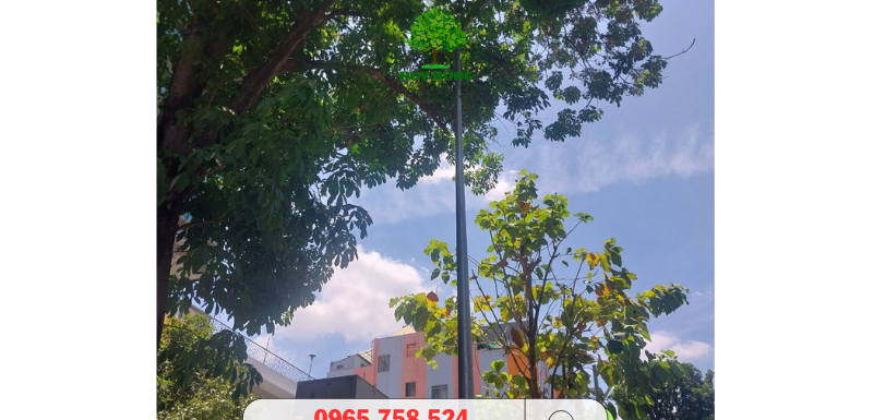Chặt cây xanh tại các quận TPHCM | Công Ty Cây Xanh Huy Hùng Liên Hệ Hotline 0965.758.524